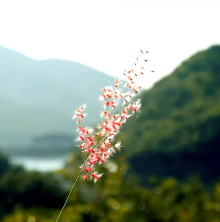 Chốn bình yên